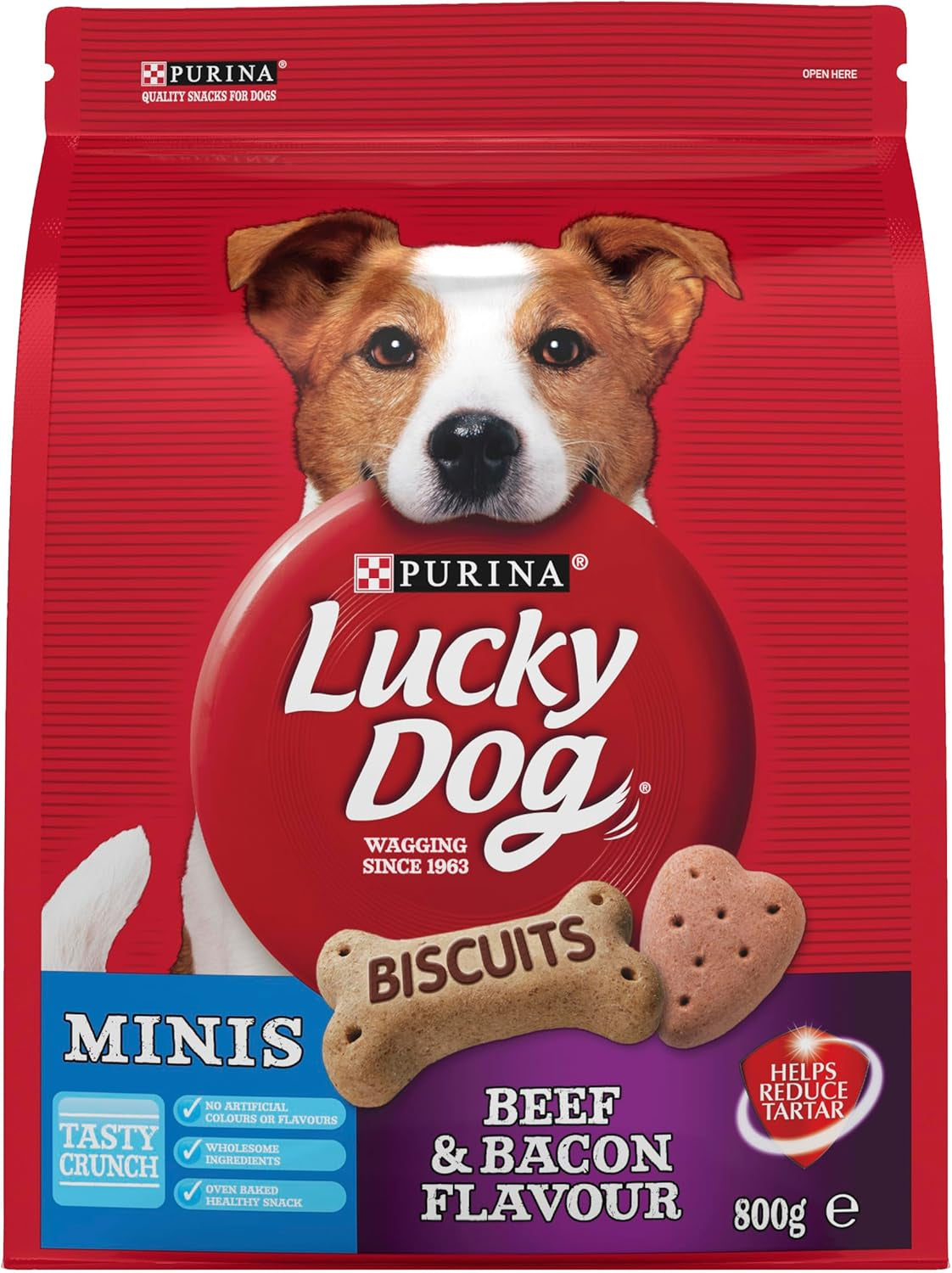 Adult Dog Dog Treats Mini Beef and Bacon 800G